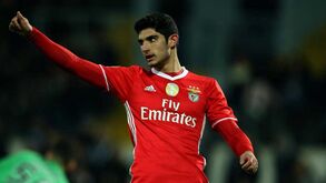 Unai Emery sobre Gonçalo Guedes: «É um jogador que pode crescer muito»