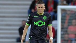 João Palhinha: até os burros gostam