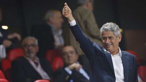 Os treinadores de Vieira