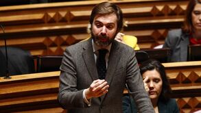 CDS chama Serviço de Inspeção de Jogos