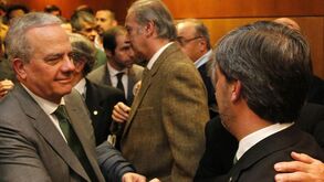 Ricciardi: «Mostra a falta de categoria do sr. Madeira Rodrigues»