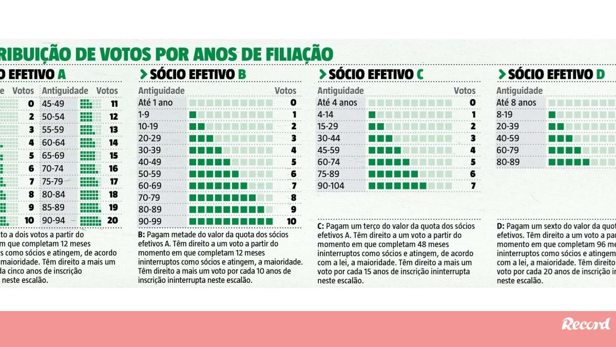 Sportinguista de 5 votos