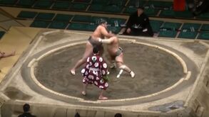KO impressionante numa luta de Sumo