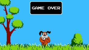 Duck Hunt