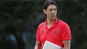 Há um jogador que Rui Costa gostava (muito) de ter visto no Benfica