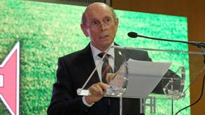 Associação de Futebol do Porto quer ver atos de violência erradicados do futebol 