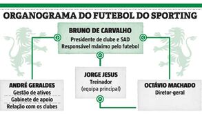 Quem é quem na estrutura do Sporting