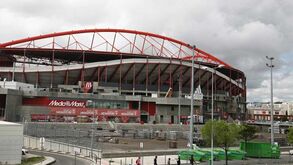 Adepto do Sporting atropelado mortalmente junto ao Estádio da Luz