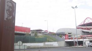 Benfica lamenta 