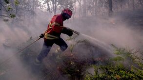 Incêndio em S. Pedro da Cova (Gondomar) obriga a evacuação de escola 