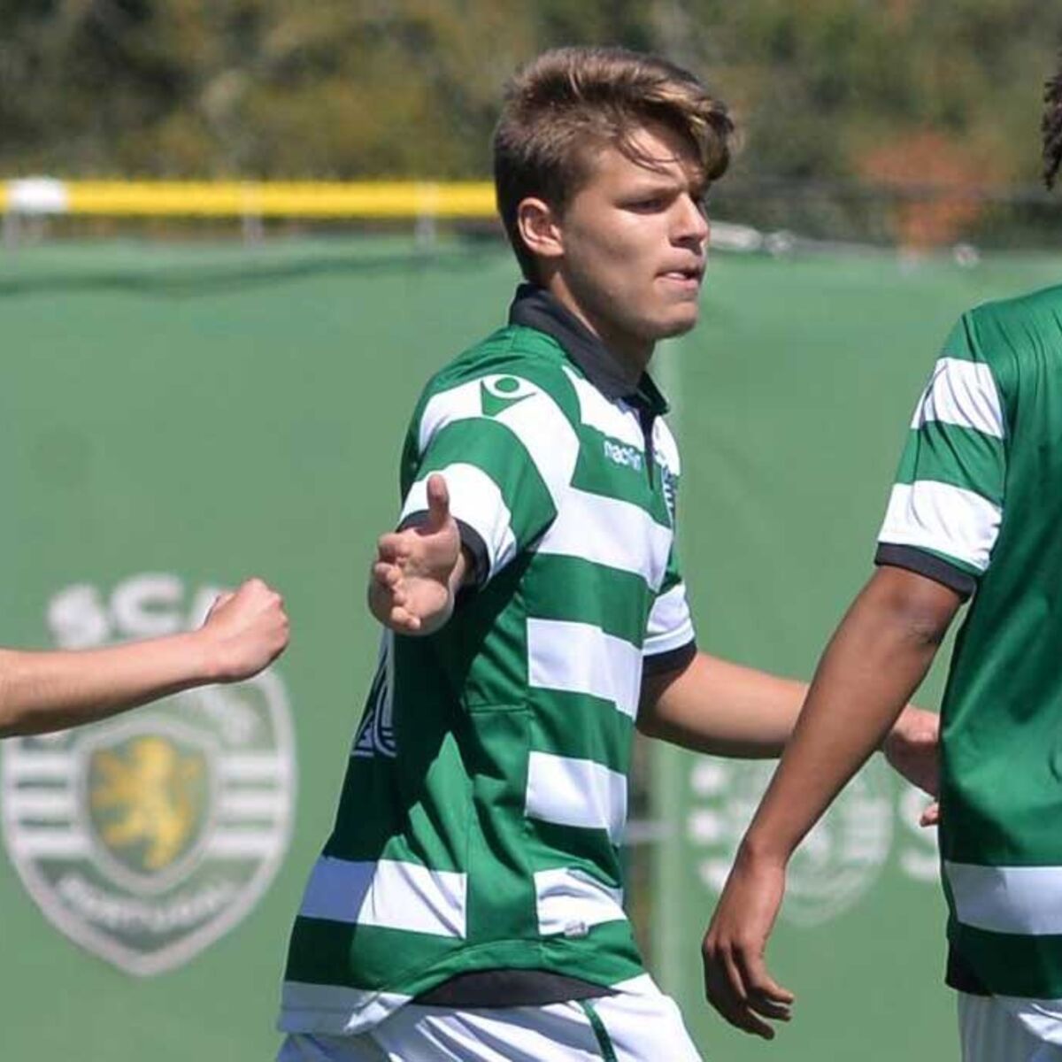 Moreirense FC (1-1) Sporting CP – Rugido Verde