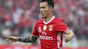 Grimaldo com muito mercado
