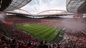 Novo Banco deixa SAD do Benfica: líder da Valouro é agora principal investidor individual