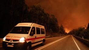 Fogo em Pedrógão Grande é o mais mortífero das últimas décadas