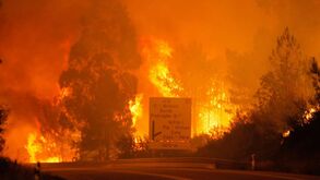 Polícia Judiciária afasta cenário de fogo posto em Pedrógão Grande