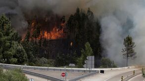 Pedrógão Grande: Três aldeias evacuadas no combate ao fogo