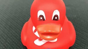 O que é que este pato tem a ver com o Bayern Munique e... Cristiano Ronaldo?