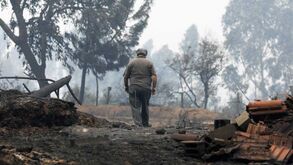 Pedrógão Grande: Número de feridos sobe para 135