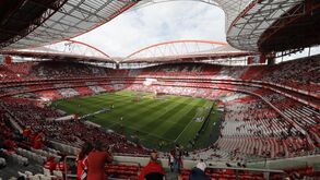 Benfica reage às acusações do FC Porto e nega tentativa de condicionamento da arbitragem