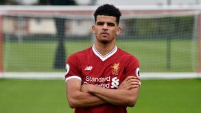 Liverpool anuncia contratação de Dominic Solanke