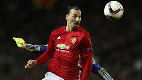 Ibrahimovic: «Leões não treinam como os humanos»