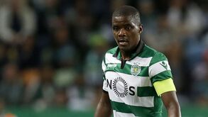 A nova vida de William Carvalho