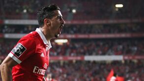 André Almeida: Golo para a... Seleção