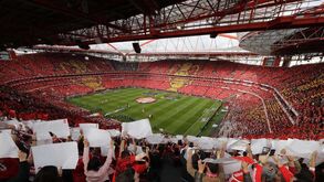 SAD do Benfica com o maior lucro de sempre