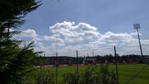 Benfica-Naval não se realizou: ninguém compareceu no Caixa Futebol Campus