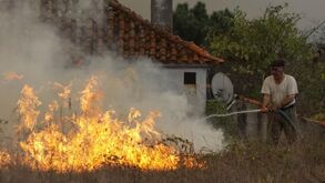 Incêndios já provocaram cinco mortos e 25 feridos