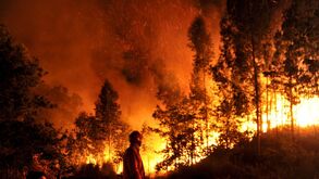 Fogo propaga-se para zonas de habitações em Braga