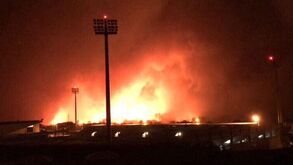 Incêndios: Tondela promete reerguer-se