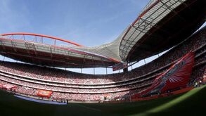O naming do Estádio da Luz e os 