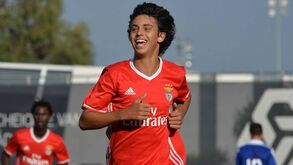 João Félix vai renovar