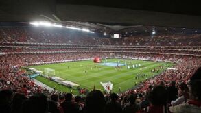 Sabe quanto paga o Benfica de eletricidade? Este e outros custos 'invisíveis' dos clubes
