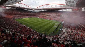 Caso dos emails: 'Juiz' do TAD pediu bilhetes para jogo do Benfica