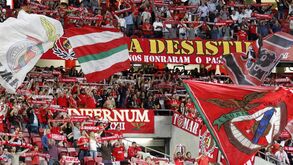 Nuno Saraiva divulga sectores reservados na Luz e questiona festa dos 'Diabos Vermelhos'