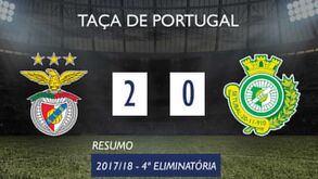 «O campeão voltou»: adeptos do FC Porto celebram título junto ao Dragão