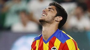 Guedes já foi operado e volta no fim de dezembro
