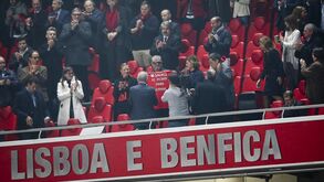 Tim: «Zé Pedro mandava mensagens a dizer 'Carrega Benfica'»