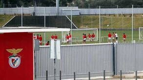 Ingleses encantados com formação do Benfica, 