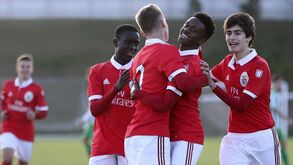 Benfica passa à fase seguinte no Torneio de Iserlohner