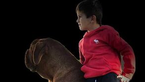 Hulk, o gigantesco cão de Messi, faz furor nas redes sociais