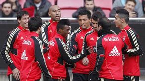 Falha informativa custou 20 mil euros ao Benfica