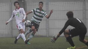 Gonçalo Inácio assinou contrato profissional