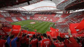 Benfica no top 10 dos clubes com melhor média de espectadores
