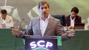 Assembleia geral: opiniões de leão