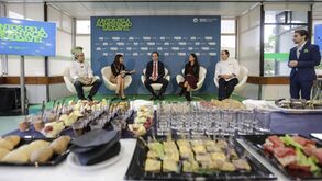 O papel da boa nutrição na recuperação das lesões