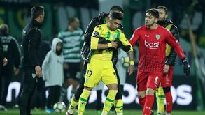 Tondela reage ao relatório de Capela: «O Murilo é brasileiro, não fala espanhol»