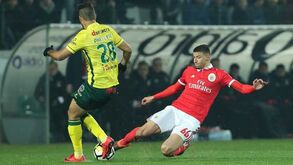 Nuno Saraiva: «Rúben Dias fez corar de vergonha muitos dos sarrafeiros históricos do futebol nacional»